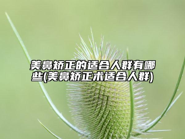 美鼻矫正的适合人群有哪些(美鼻矫正术适合人群)