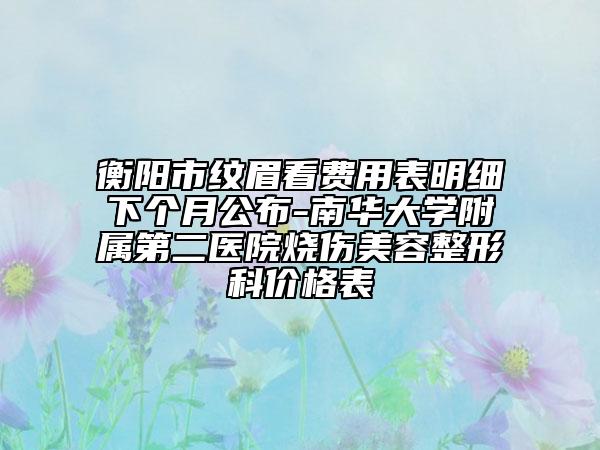 衡阳市纹眉看费用表明细下个月公布-南华大学附属第二医院烧伤美容整形科价格表