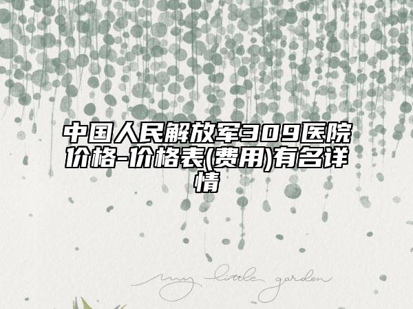 中国人民解放军309医院价格-价格表(费用)有名详情