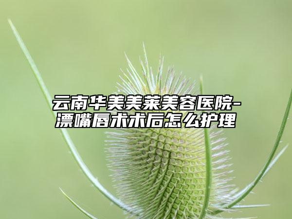 云南华美美莱美容医院-漂嘴唇术术后怎么护理