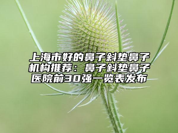 上海市好的鼻子斜垫鼻子机构推荐：鼻子斜垫鼻子医院前30强一览表发布