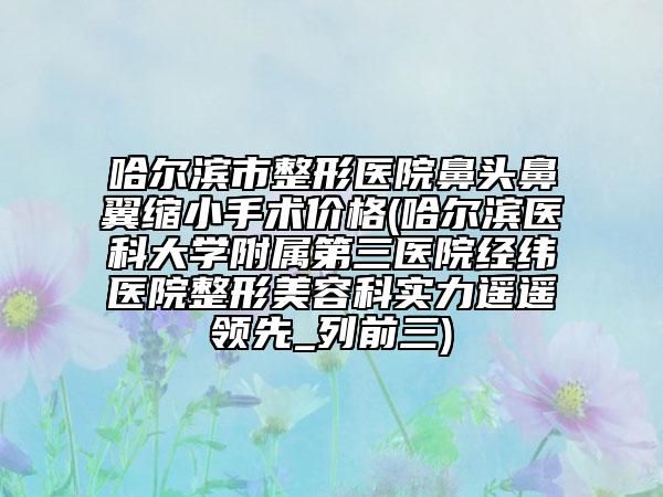 哈尔滨市整形医院鼻头鼻翼缩小手术价格(哈尔滨医科大学附属第三医院经纬医院整形美容科实力遥遥领先_列前三)