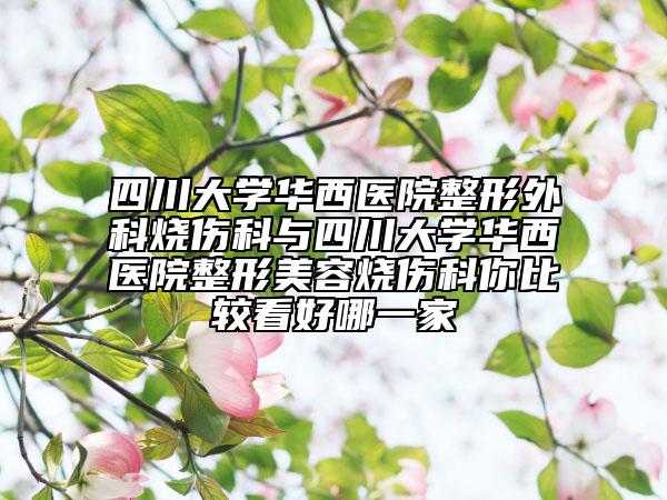 四川大学华西医院整形外科烧伤科与四川大学华西医院整形美容烧伤科你比较看好哪一家
