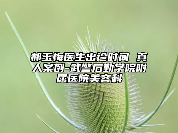 郝玉梅医生出诊时间 真人案例-武警后勤学院附属医院美容科