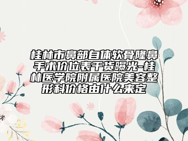 桂林市鼻部自体软骨隆鼻手术价位表干货曝光-桂林医学院附属医院美容整形科价格由什么来定