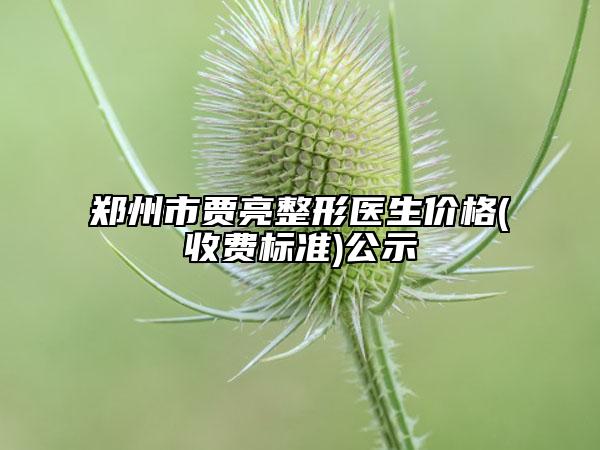 郑州市贾亮整形医生价格(收费标准)公示