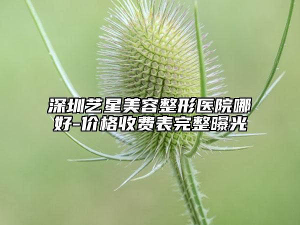 深圳艺星美容整形医院哪好-价格收费表完整曝光