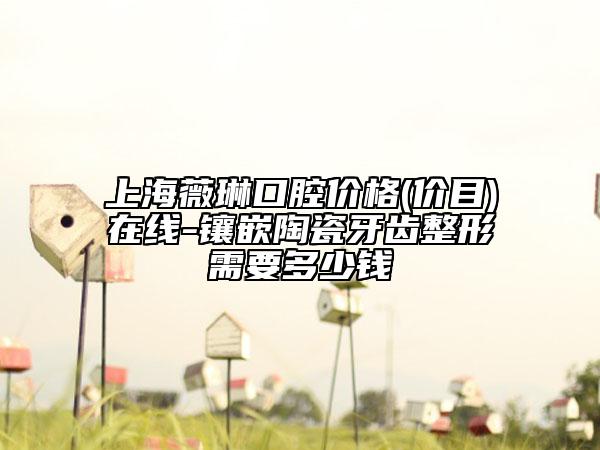上海薇琳口腔价格(价目)在线-镶嵌陶瓷牙齿整形需要多少钱
