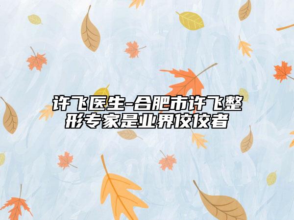许飞医生-合肥市许飞整形专家是业界佼佼者